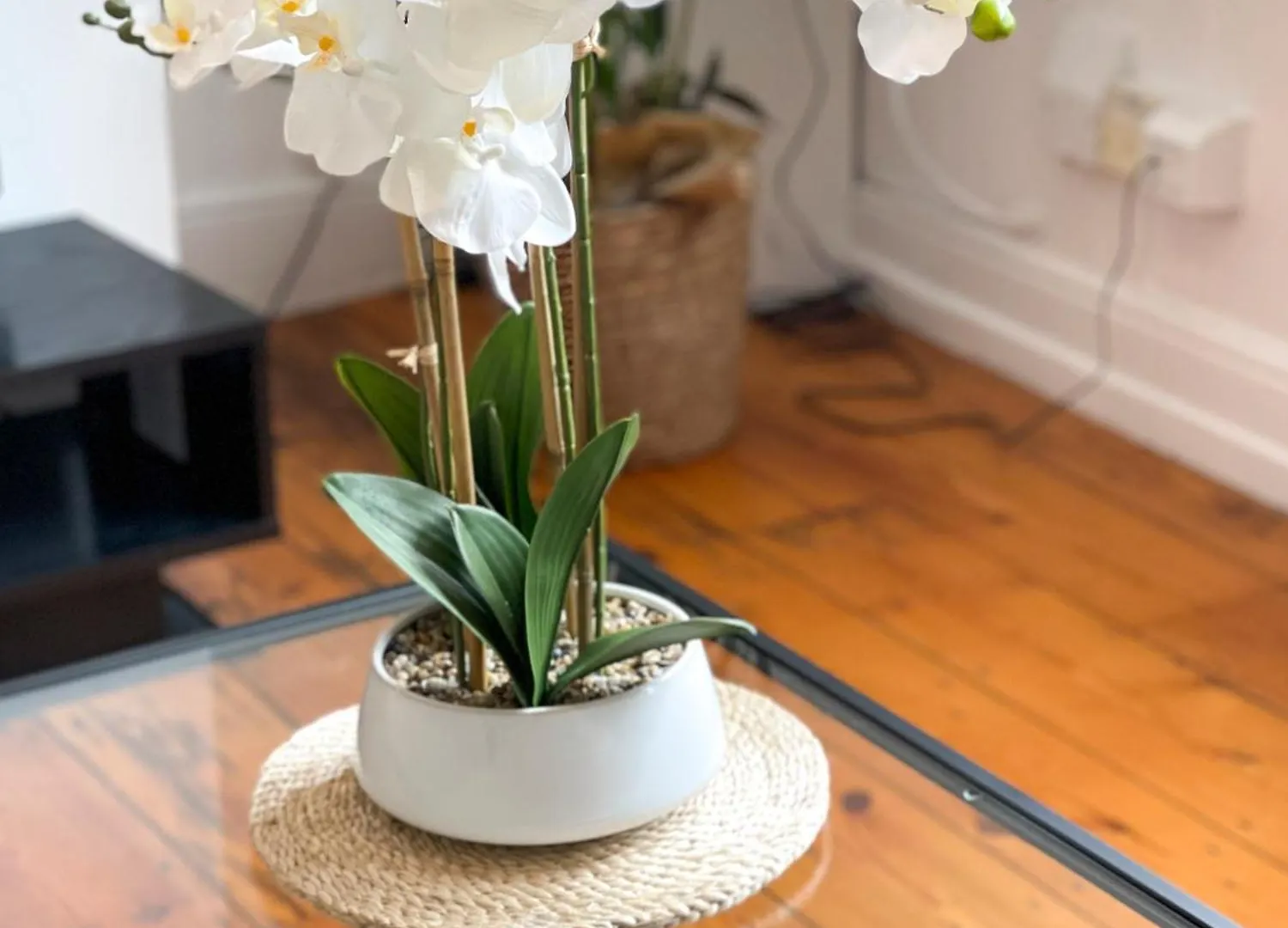 Fantastic Victorian House, Excellent City Location - Cambridge Homehost